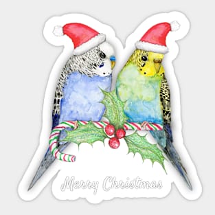 Two cute budgies Christmas style Sticker